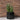 Moderne hexagonal plantepotte til stueplanter