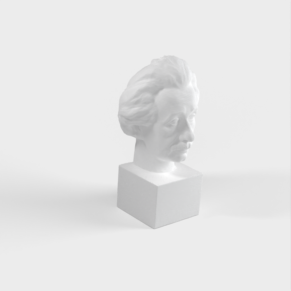 Einstein Bust