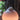 Philips Hue Go -ripustusteline (2 osaa)