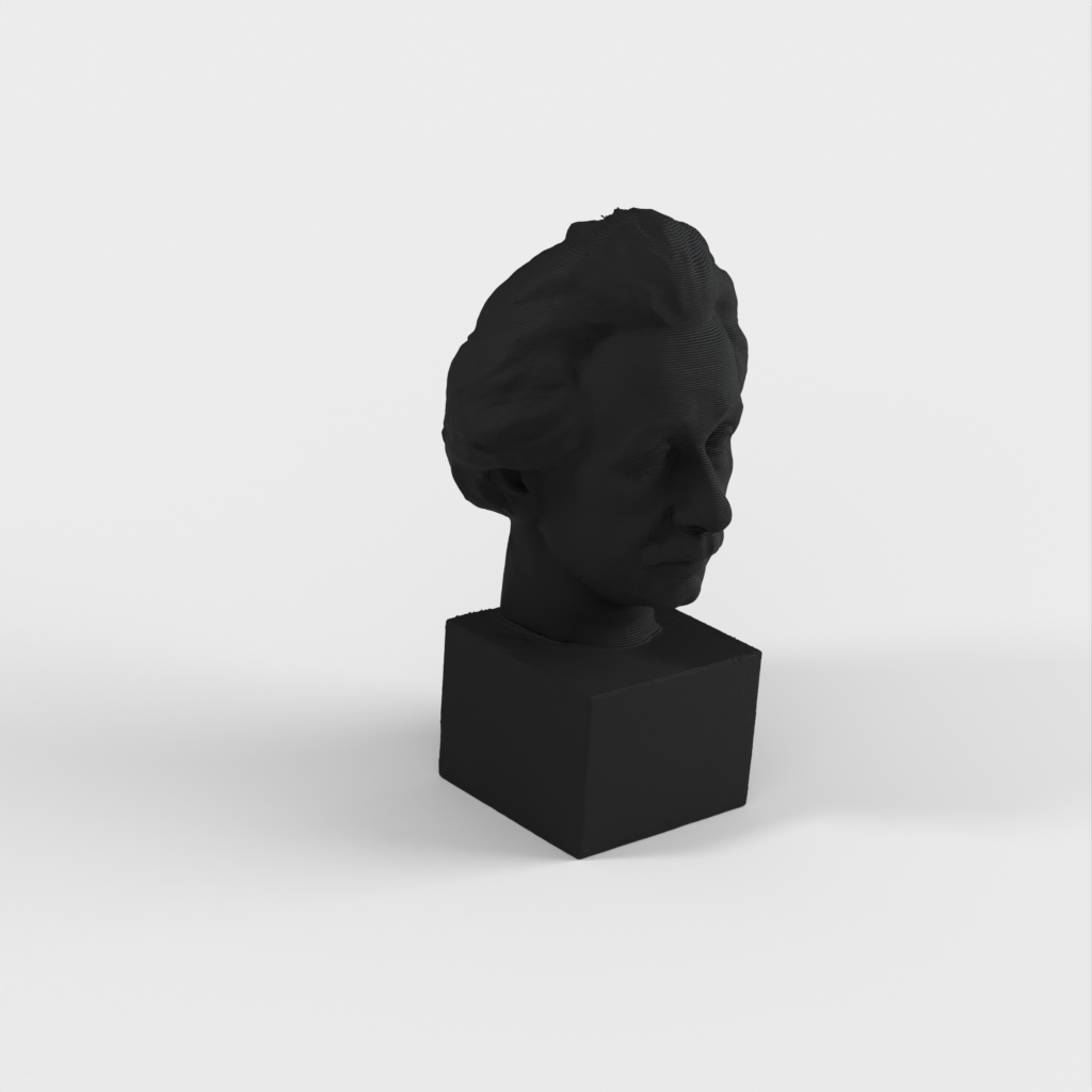 Einstein Bust