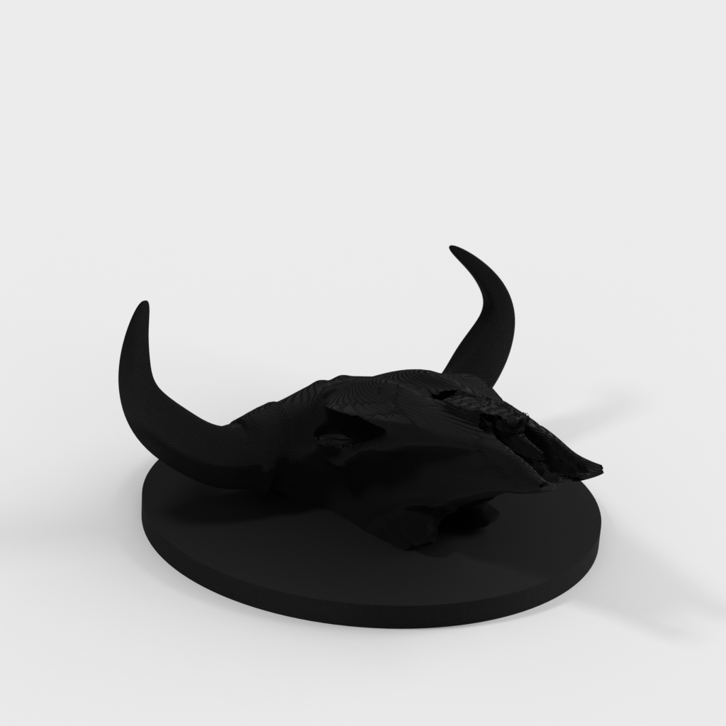 My 3D Model