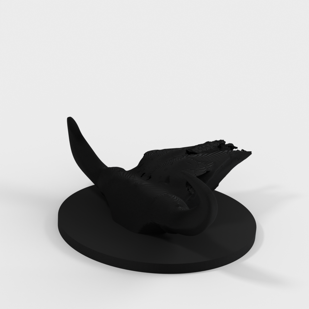 My 3D Model