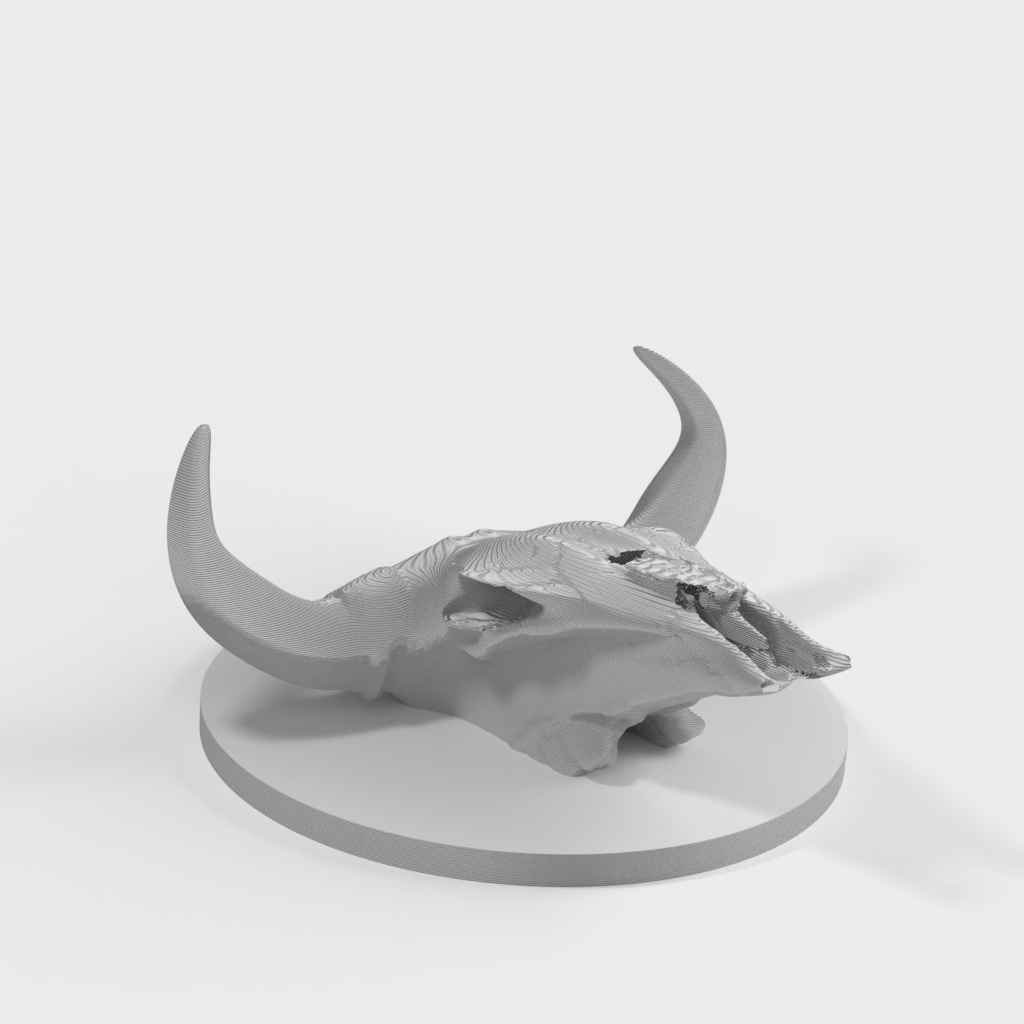 My 3D Model