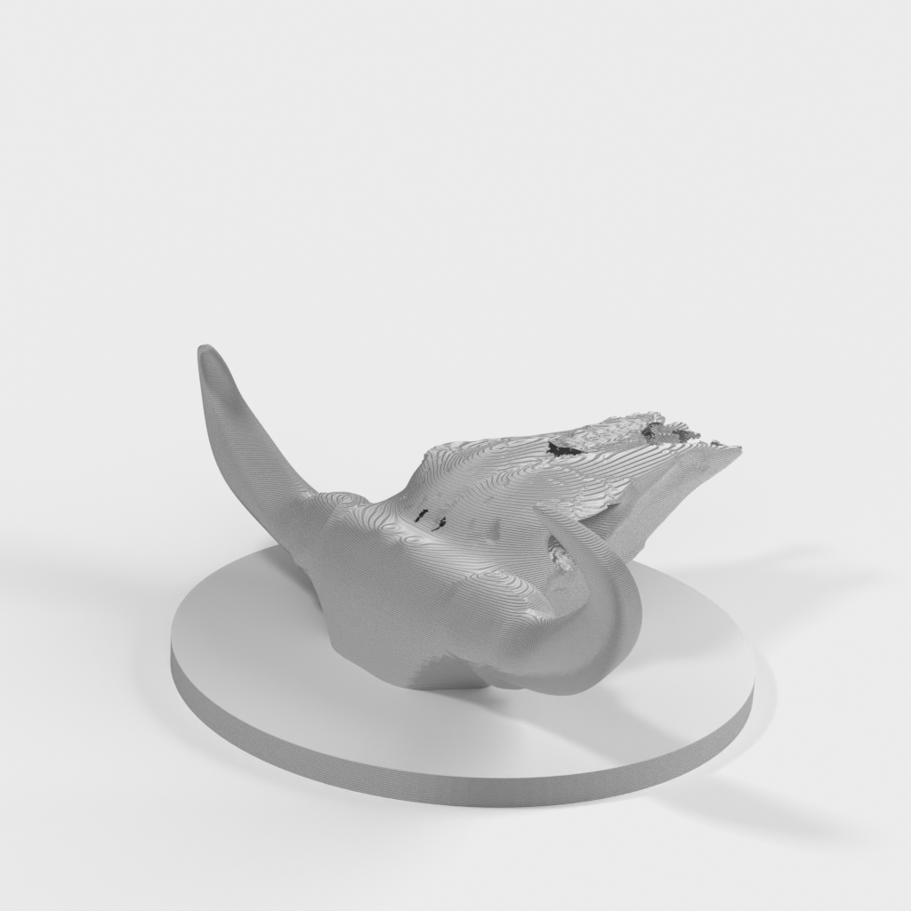 My 3D Model