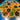 Catan Rakenneosien sarja