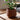 Moderne GeoBloom plantekrukke med geometrisk design