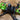 iFlight Nazgul5 Monitoimikiinnike RX-antennille, GPS:lle ja XT60:lle