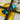 Asennus- ja kondensaattoriteline Project 399 Practice Rig 03:lle