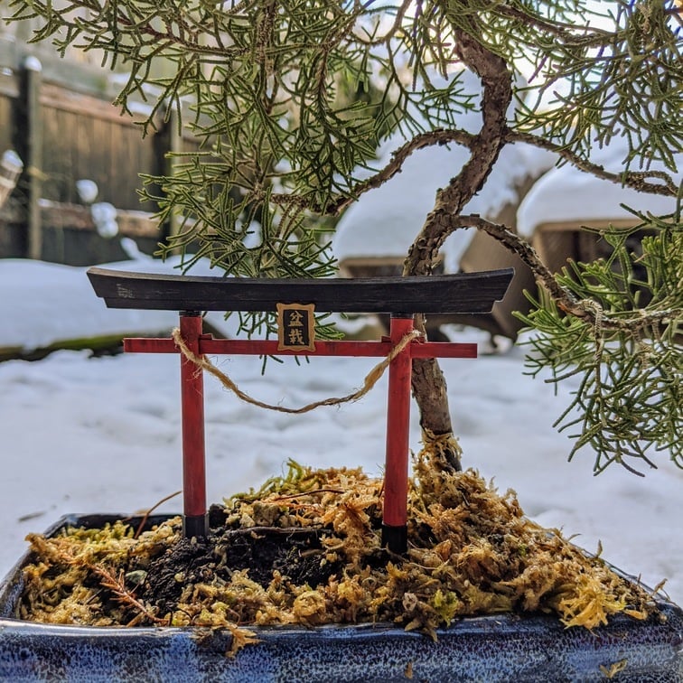 Inari Torii -portti bonsaille