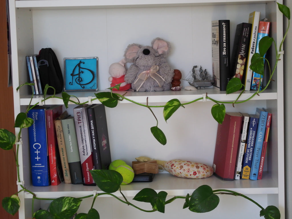 Ivy-kasvin seinäteline Ikean Gersby-hyllylle
